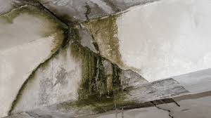 Fragmented documentation such as photos and notes that do not share a single spatial reference