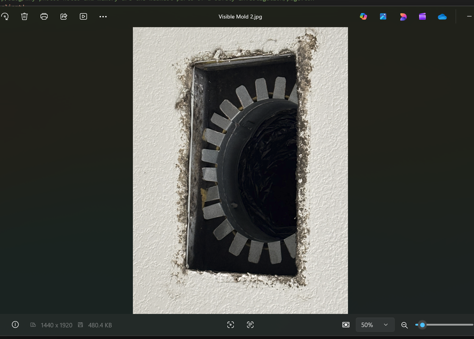 Close up photo showing a site condition without spatial orientation