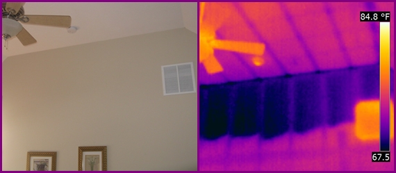 Thermal infrared image highlighting an anomaly