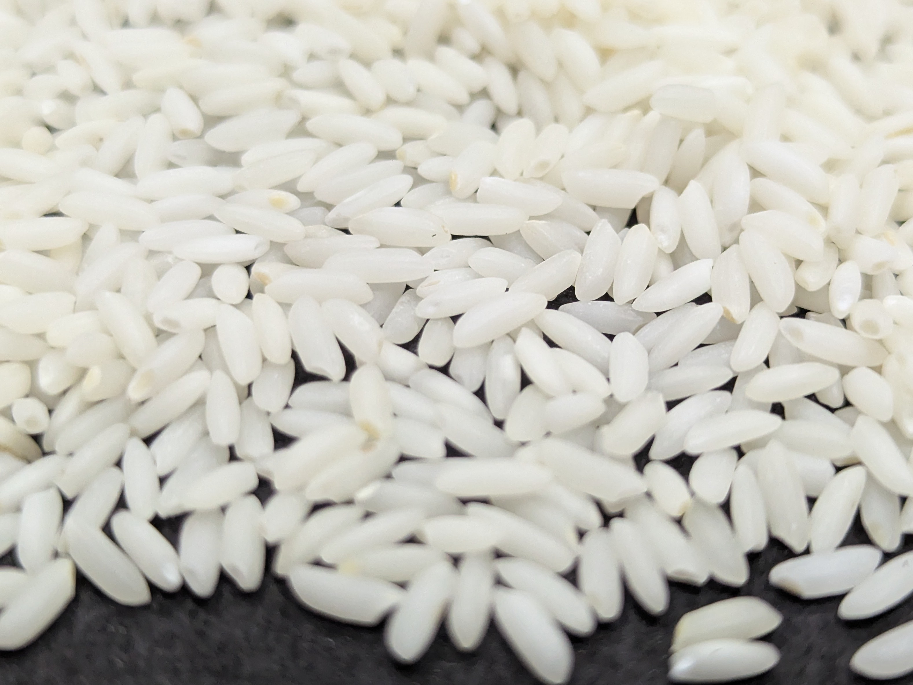 Sona Masoori Non Basmati Raw Rice