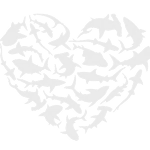 Heart made of marine animals