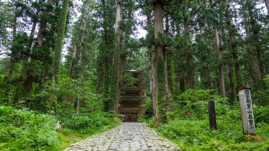 Le chemin pavé menant à la pagode à cinq étages du mont Haguro, dans la forêt de cèdres