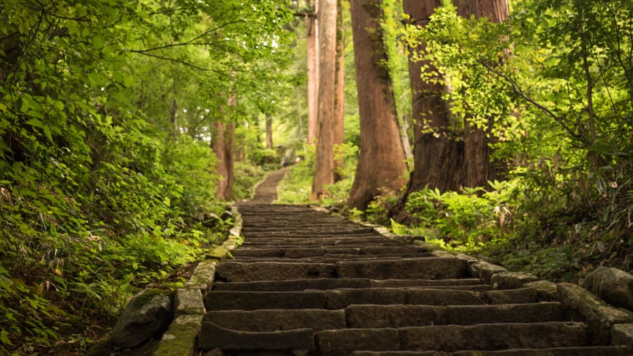 L’escalier de pierre du mont Haguro montant entre des cèdres centenaires