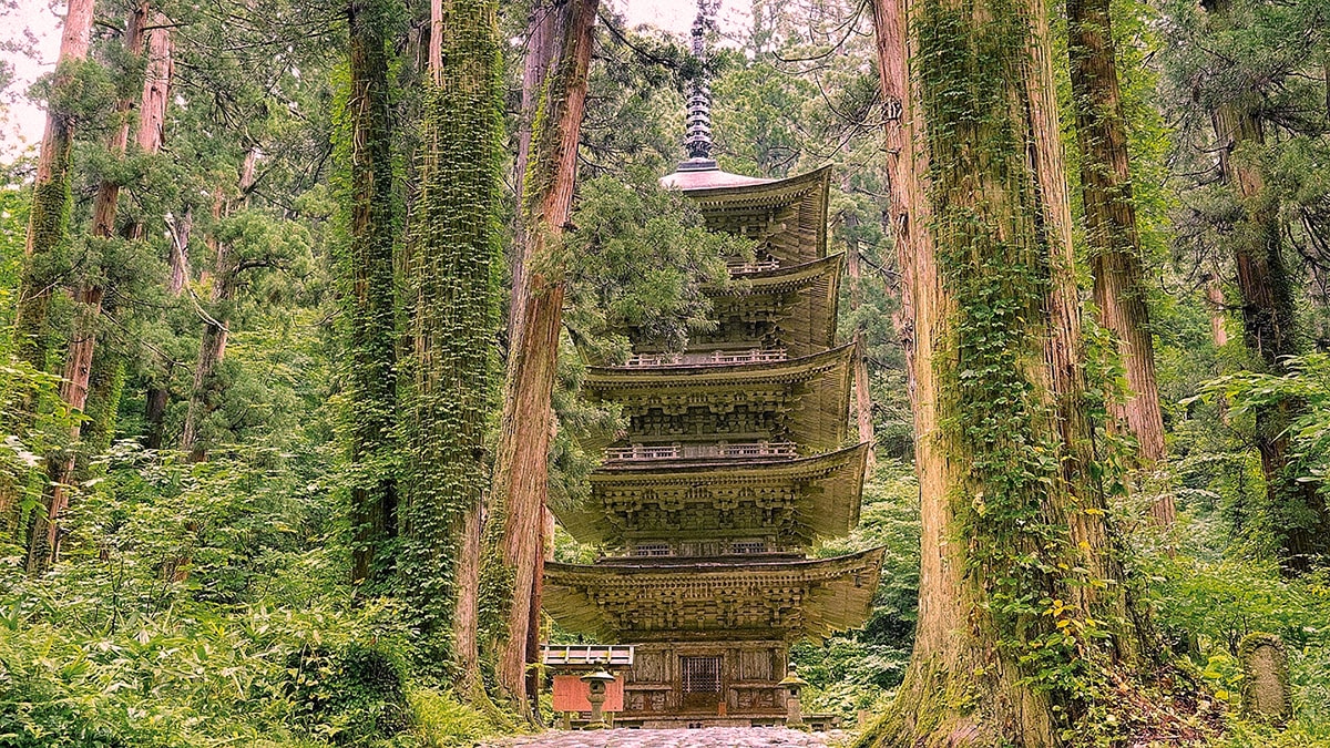 La pagode à cinq étages du mont Haguro, dans la forêt de cèdres