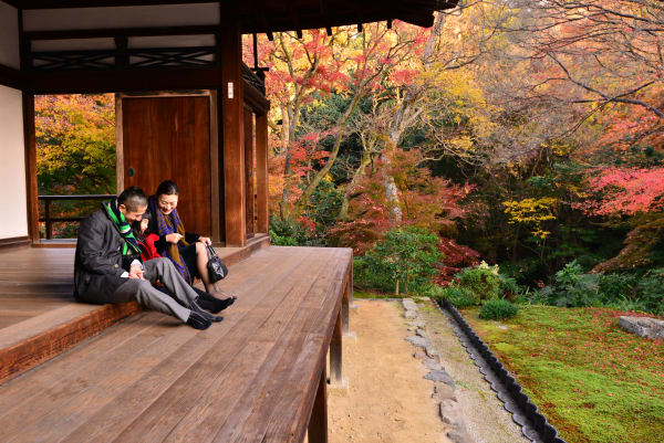 Voyageur seul au Japon