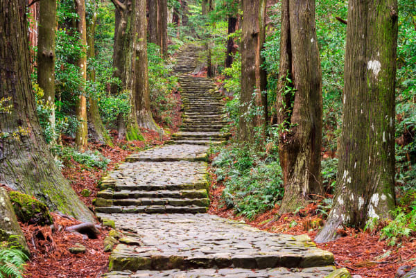 Sentier forestier du Kumano Kodo