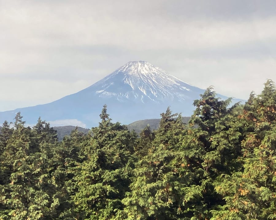 Le mont Fuji enneigé au-dessus d’une forêt de cèdres, sous un ciel voilé