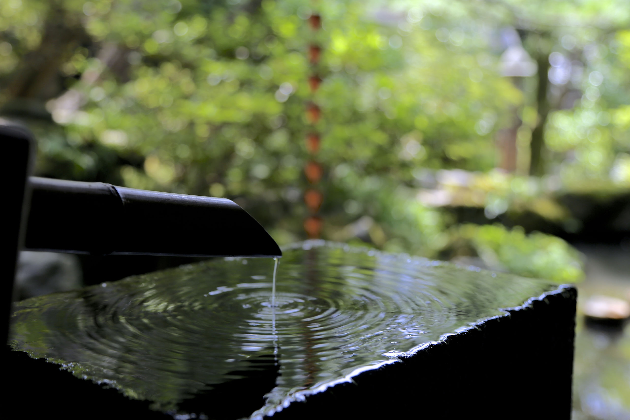 Sur les Chemins Sacrés de Kumano Kodo : Le Sanctuaire Kumano Hongu Taisha et Yunomine Onsen