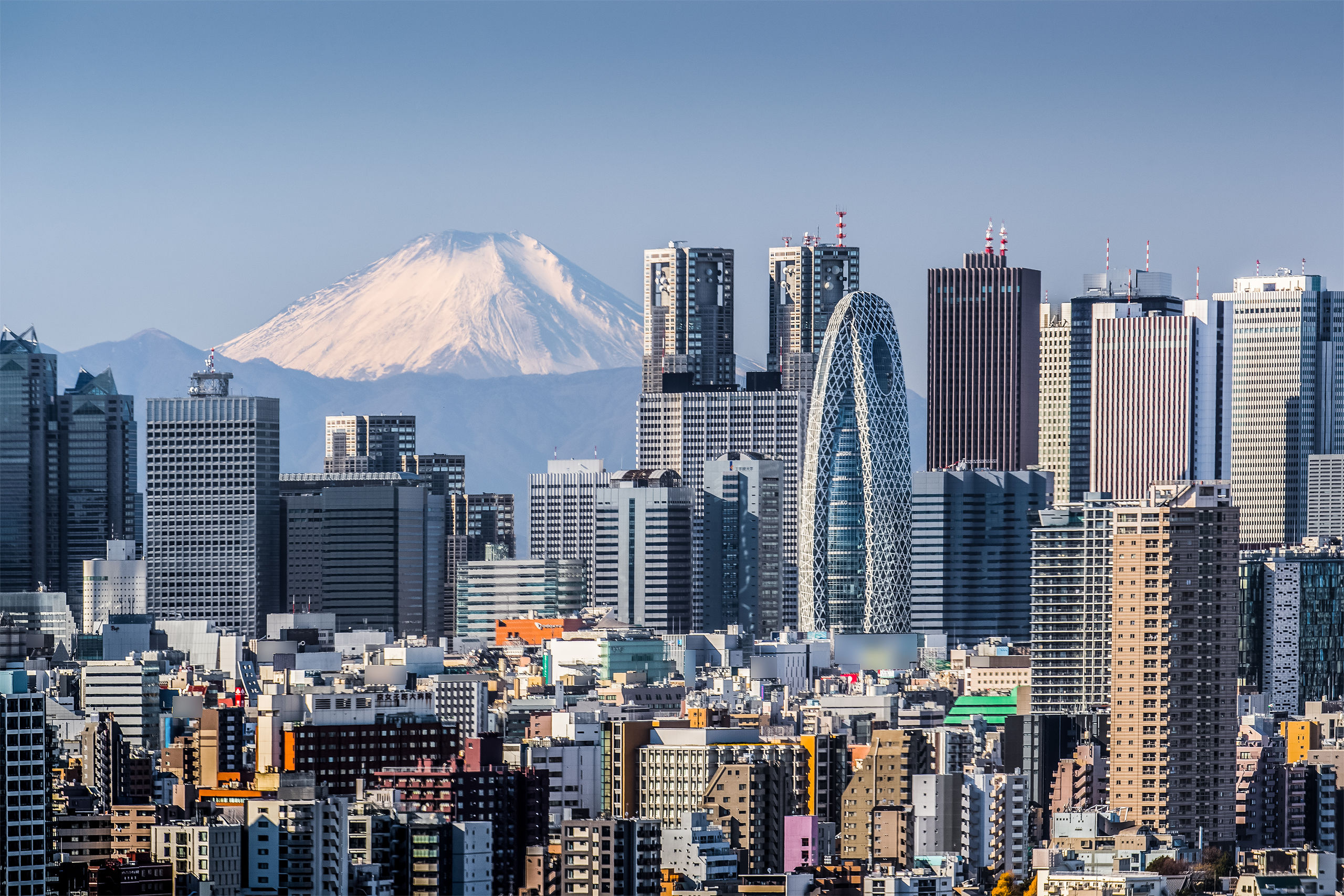Tokyo entre tradition et modernité
