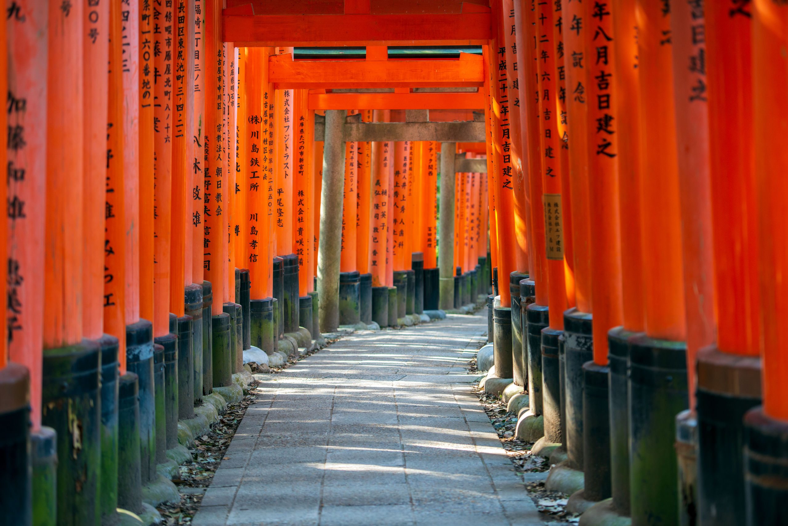 Découverte des secrets de Kyoto