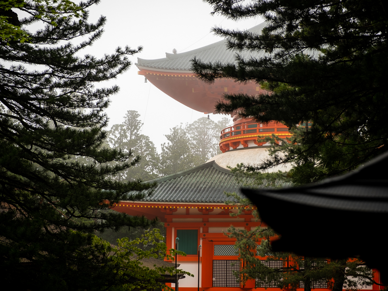 La pagode Konpon Daitō, rouge écarlate, apparaît dans la brume entre les branches de pin du Danjo Garan