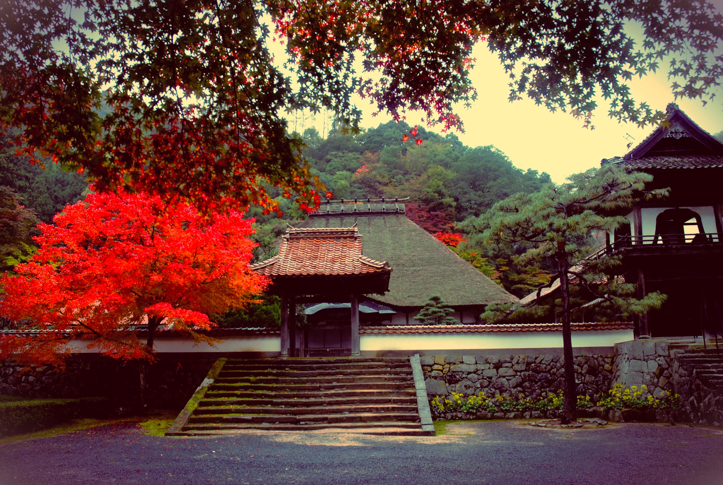 L’escalier de pierre et le portail de bois de Yōmei-ji, le toit de chaume du grand hall derrière