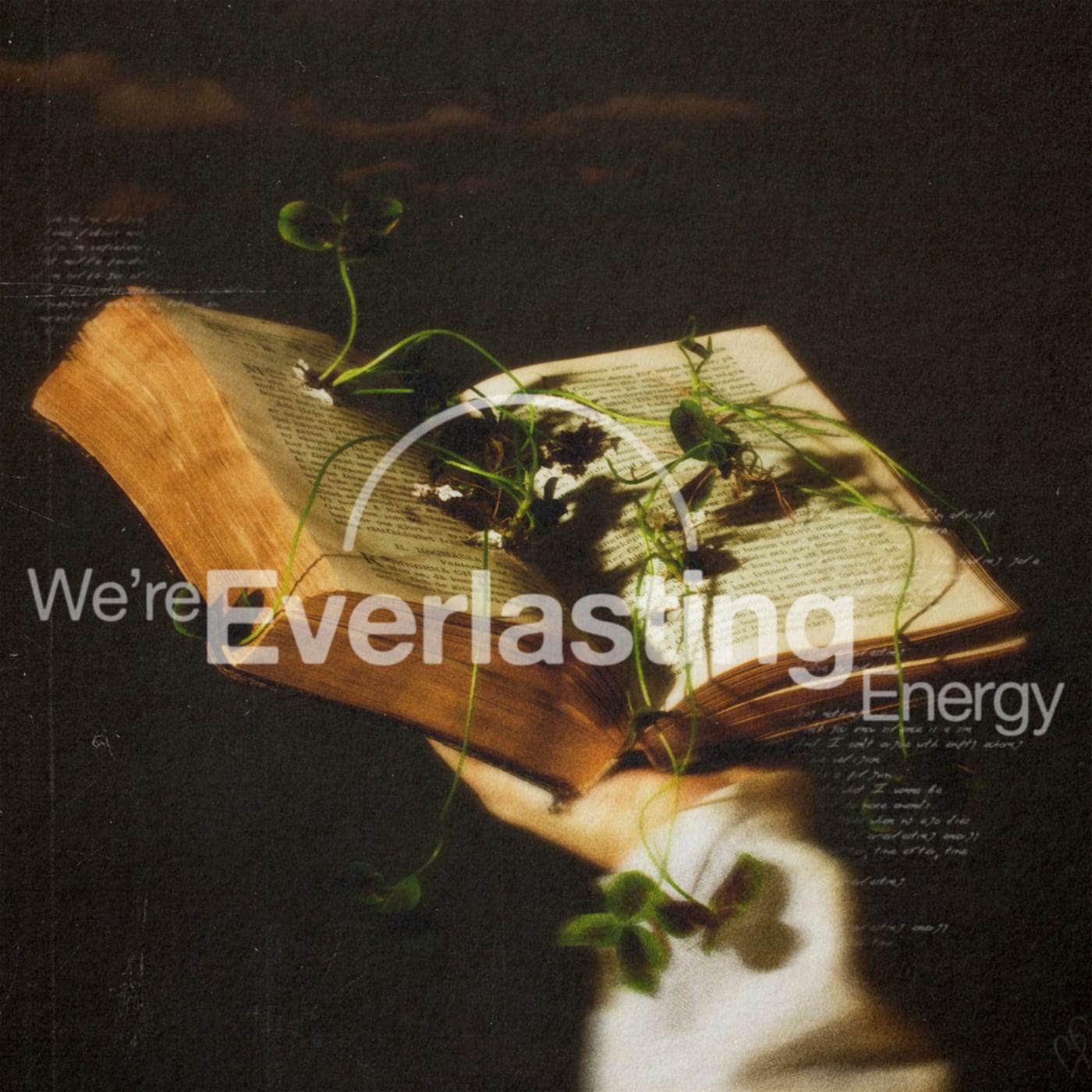 We’re Everlasting Energy