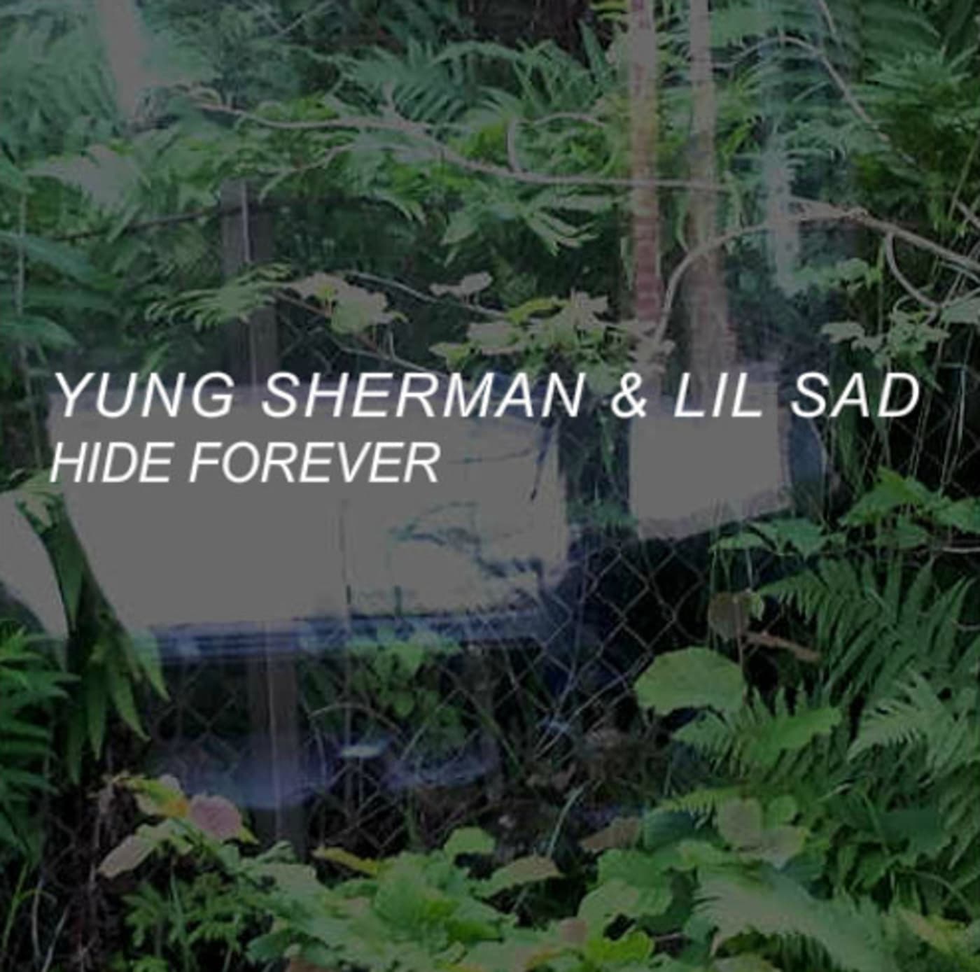 Hide Forever