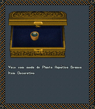 Vaso com muda de Planta Aquática Branca