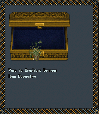 Vaso de Orquídeas Brancas