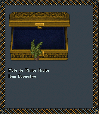 Muda de Planta Adulta