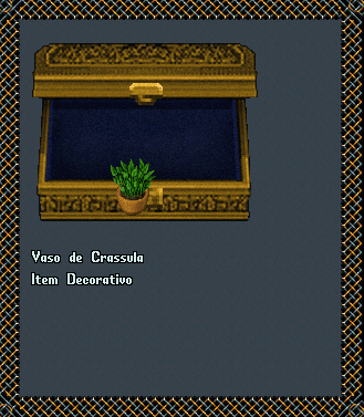 Vaso de Crassula