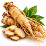 Ginseng