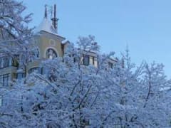 На новой рабочей неделе в Новочеркасске похолодает до -9 градусов