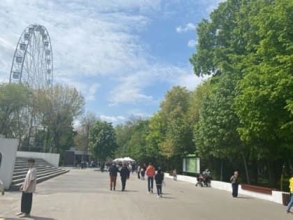 В Ростовской области ещё 38 человек заболели коронавирусом за сутки