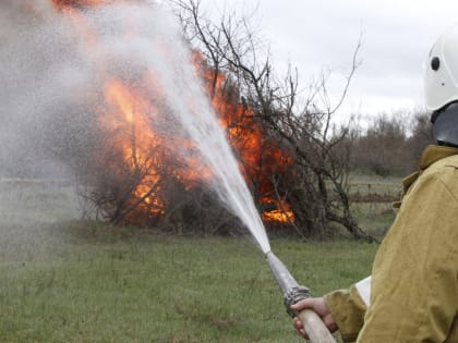 Страшные пожары могут произойти в 12 муниципалитетах Ростовской области 16 июля