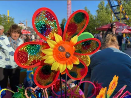 День защиты детей в Ростове растянули на неделю (новая программа)