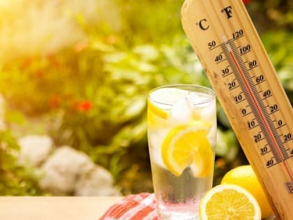 На грядущей неделе в Ростов придет летняя жара