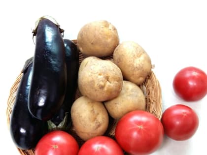 МОГУТ ВЫЗЫВАТЬ РАК: ВРАЧ РАССКАЗАЛ, ЧЕМ ОПАСНЫ КАРТОШКА, ПОМИДОРЫ И БАКЛАЖАНЫ