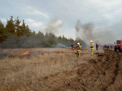 Областные спасатели приняли участие в тренировке по тушению лесных и ландшафтных пожаров