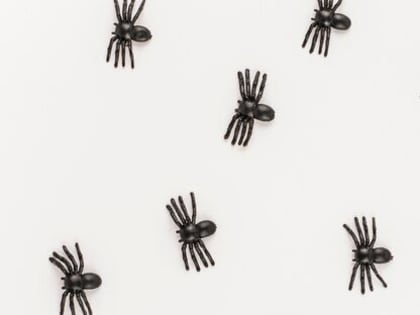 Защитите свою семью от клещей — надежный и безопасный репеллент