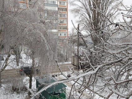 Из-за гололёда прокуратура Ростовской области открыла горячую линию