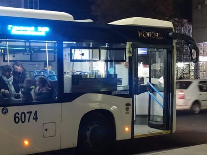 В Ростове сократят количество транспорта на новогодних каникулах