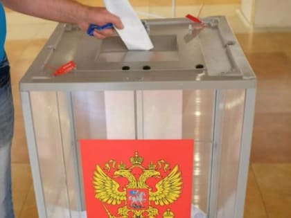 Явка на выборах в Ростовской области составила менее 30%