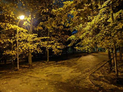 Какая холодная осень! Надень свою шаль и капот