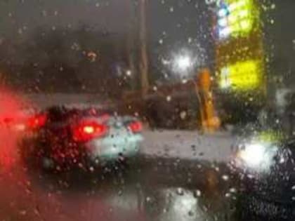 Новая неделя в Новочеркасске: дождливая погода и повышение температуры