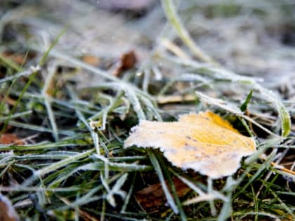 В Ростовской области 14 и 15 октября ожидаются заморозки до -4 градусов