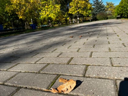 Температура в Ростовской области упадет до -5 градусов с 16 по 17 октября