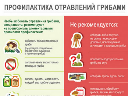 Участились случаи пищевых отравлений от употребления в пищу дикорастущих грибов
