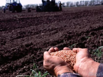 Уборка урожая в Ростовской области завершена