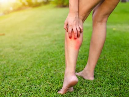 Тех, кто не хочет заразиться церкариозом, предупреждают ростовские специалисты