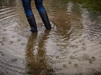 В Ростове до конца недели температура воздуха будет держаться на уровне +9 градусов