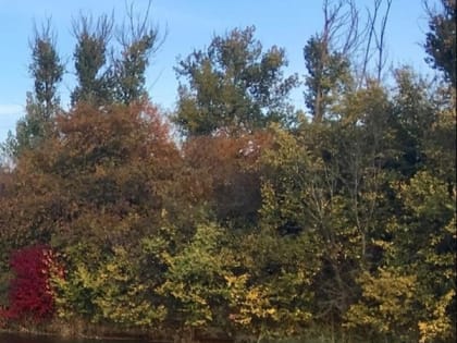 Тепло и пасмурно будет в Шахтах