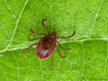 Рекомендации по отдыху на природе