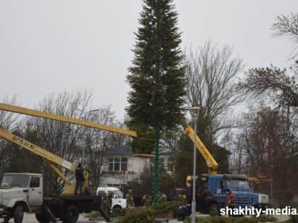 Ведутся работы по установке главной городской елки