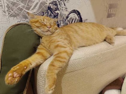 Дождливые и прохладные выходные пообещали шахтинцам