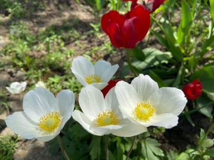 Дожди и похолодание ждут шахтинцев на выходных