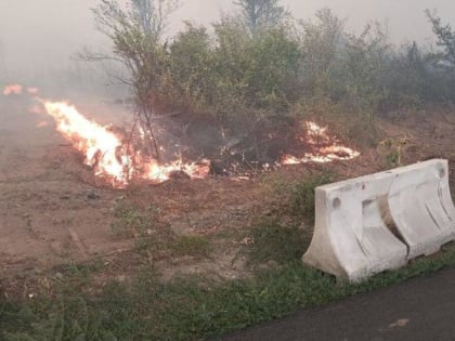 Станицу Верхнекундрюченскую отбили от страшного пожара в Ростовской области