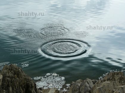 Погибли водитель и пассажир «Лады Веста»: машина утонула в водном канале в Ростовской области