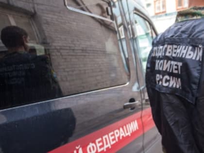 Следком возбудил уголовное дело о массовом отравлении детей в батайской школе